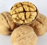 核桃深加工項(xiàng)目-核桃油設(shè)備生產(chǎn)商鄭州企鵝糧油(圖1) 核桃深加工項(xiàng)目-核桃油設(shè)備生產(chǎn)商鄭州企鵝糧油(圖1)