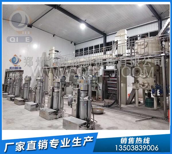 核桃冷榨油生產(chǎn)線,鄭州企鵝強勢助力(圖1) 核桃榨油機設備